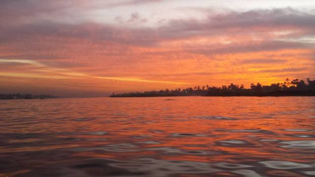 15380379_10157760407575562_2045097934815103823_n