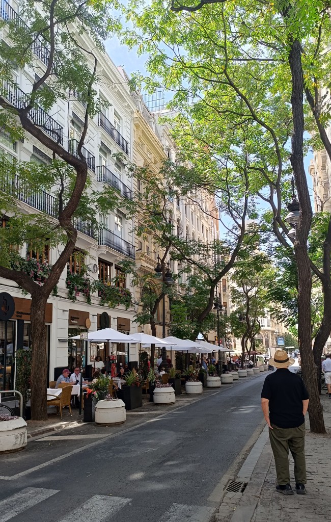 Old town alley in Valencia with balconies and hanging flower pots