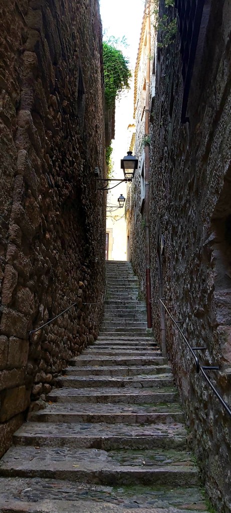 Medieval stone alley lined with ancient buildings, cobblestones, and atmospheric old-town charm.