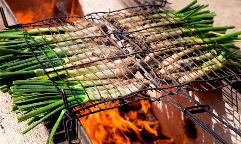 People eating calçots outdoors during a traditional calçotada, lifting them by hand.