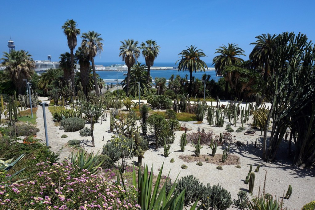 Jardins de Mossรจn Costa i Llobera in Barcelona with cacti and Mediterranean plants, overlooking the port