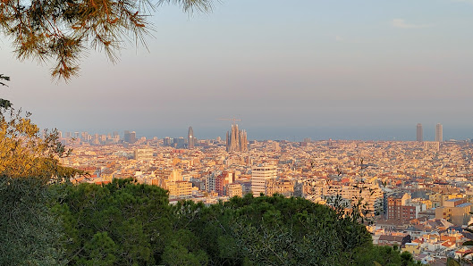 Quiet sunset view from Turรณ de Putxet with trees in the foreground and Barcelona stretching out below.