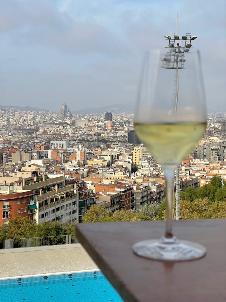 Salts Terrassa Bar on Montjuรฏc hill, Barcelona, relaxed bar with city skyline and sunset views